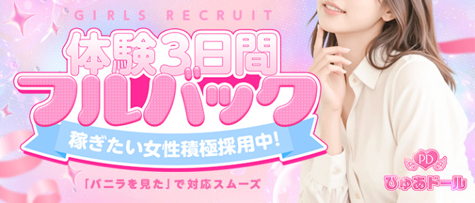 ぴゅあドールのぽっちゃり求人画像