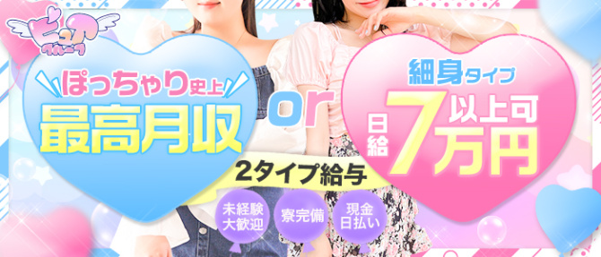 ぴゅあグループのぽっちゃり求人画像