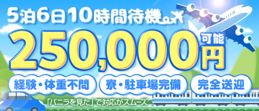 ぽちゃぱい
