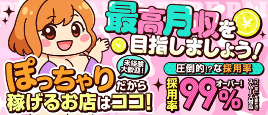ぽちゃぱい