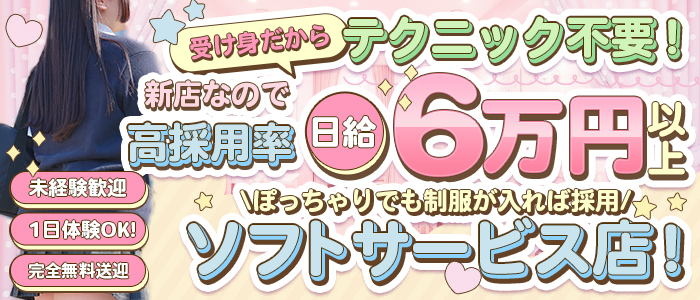 ピュアスクール 池袋店のぽっちゃり求人画像