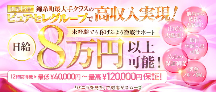 ピュアセレクラブ錦糸町の求人画像