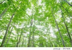 【心のケア】のアイキャッチ画像