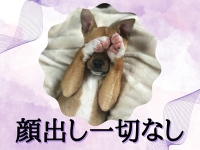 ぷるるんマダム難波店で働くメリット2