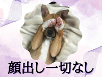 ぷるるんマダム十三東口店で働くメリット7