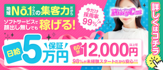 プッシーキャット