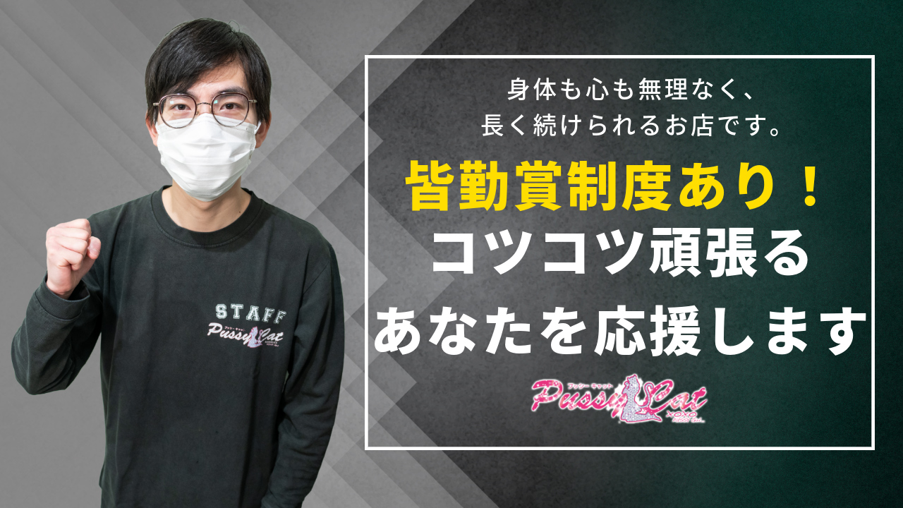 プッシーキャットの求人動画
