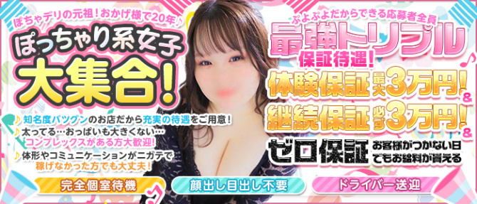 札幌ぷよぷよのぽっちゃり求人画像