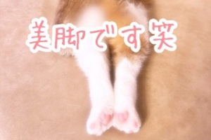 『写メ日記で体の露出以外で何をアップしたら興味もってもらえますか？』のアイキャッチ画像