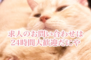 【採用する際に注視しているところはどこですか？】のアイキャッチ画像