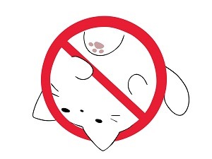 ☆身バレ防止対策☆のアイキャッチ画像