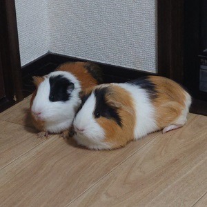 他店にあんまりない？当店のウリ☆のアイキャッチ画像