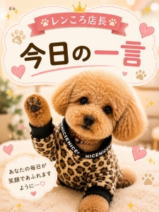 優位性・・・のアイキャッチ画像