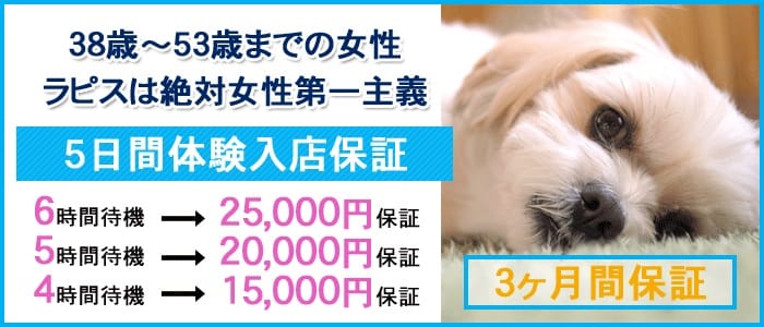 Rapis~ラピス~