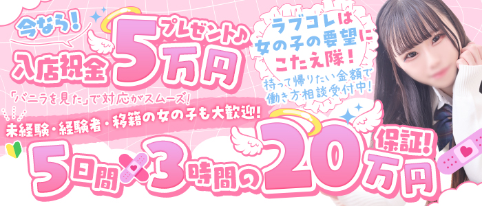 ラブコレクションの求人画像