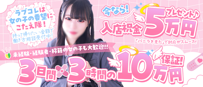ラブコレクションの未経験求人画像