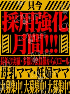 只今採用強化月間のアイキャッチ画像