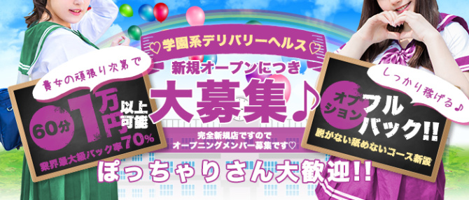 令和女学園のぽっちゃり求人画像