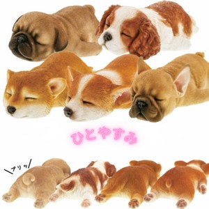 面接には何を？？のアイキャッチ画像