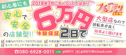 プチレモンMAXの求人画像