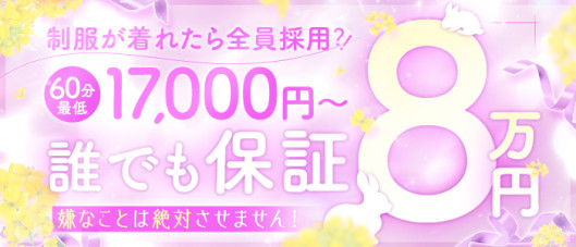 CLUB(クラブ)バニーの求人情報