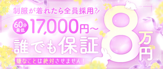CLUB(クラブ)バニーのぽっちゃり求人画像