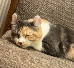 待機時間は快適に過ごせますか？？のアイキャッチ画像