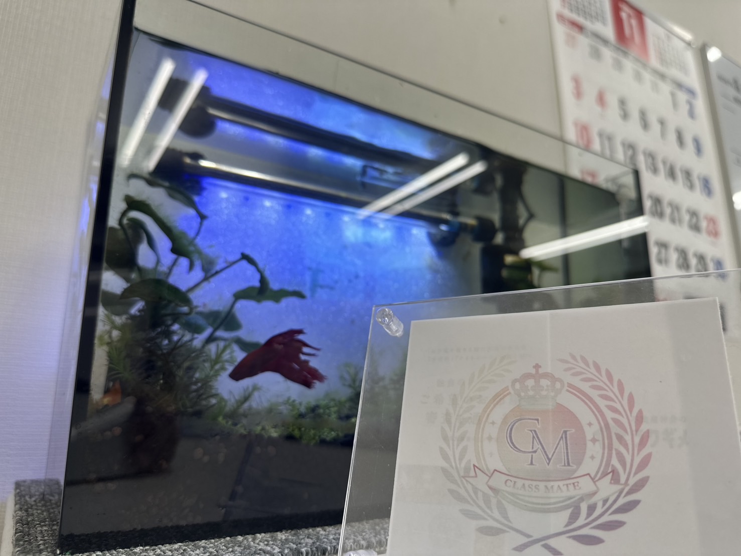 東京デザインリング錦糸町店（FC）のその他画像1