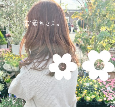 なおさん