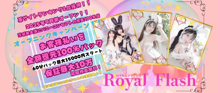 ロイヤルフラッシュの出稼ぎ求人画像