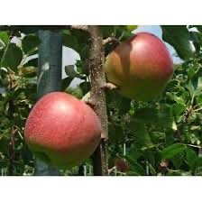 ☆面接交通費１００００円支給☆のアイキャッチ画像