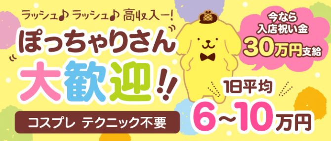 ラッシュアワーのぽっちゃり求人画像