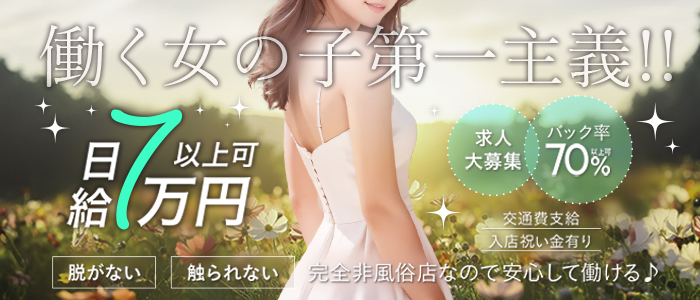 サボテンの求人画像