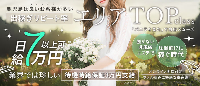 サボテンの求人画像