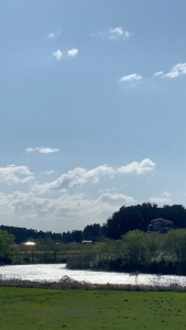 自然の力で心も癒すのアイキャッチ画像