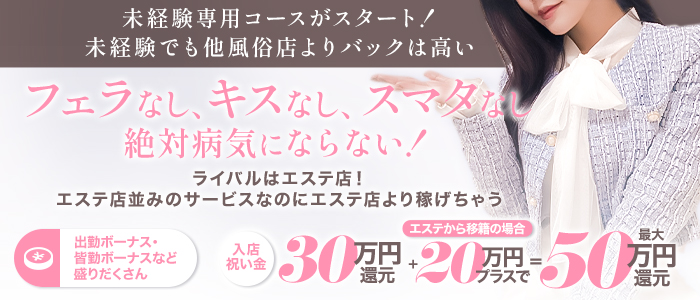 エムドグマの求人情報