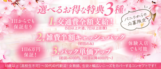桜色学園