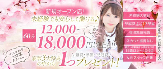 桜色学園