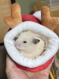 こんばんは！のアイキャッチ画像