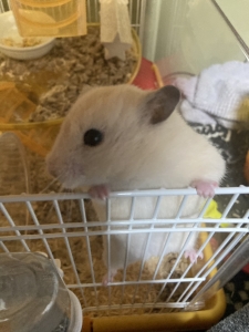 こんばんは！のアイキャッチ画像