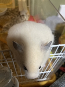 こんばんは！のアイキャッチ画像