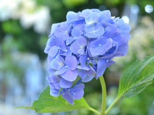 夏に稼ぐ人は、夏に始めた人ではなく、夏の前に準備した人。のアイキャッチ画像