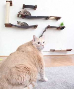今です！！のアイキャッチ画像