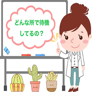 ＊どんな所で待機をするのか？＊のアイキャッチ画像