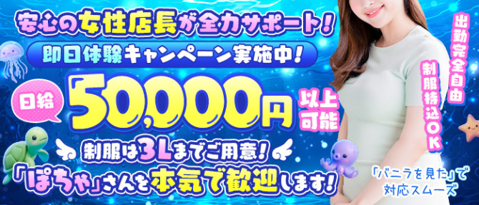 すすきの 竜宮洞のぽっちゃり求人画像