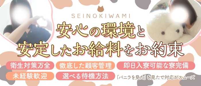 SEINOKIWAMIの求人画像