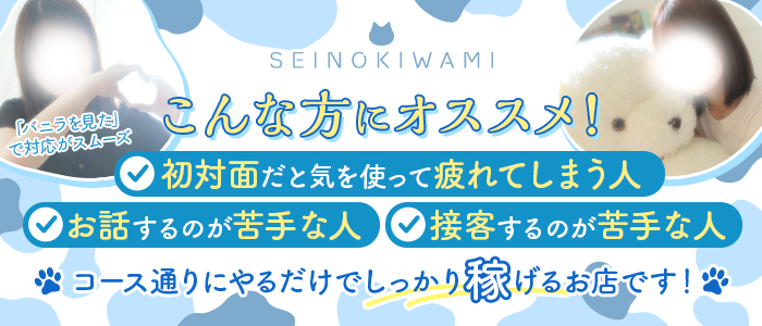 SEINOKIWAMIの求人情報
