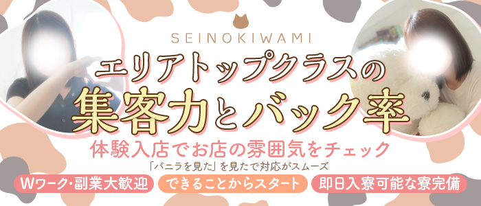 SEINOKIWAMIの体験入店求人画像