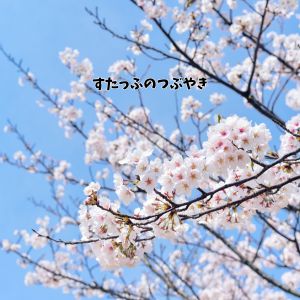 🌸もうすぐ春！新しいスタートのチャンスですのアイキャッチ画像