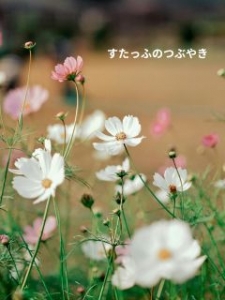 性病リスクなしでヘルス以上に稼ぎませんか？のアイキャッチ画像